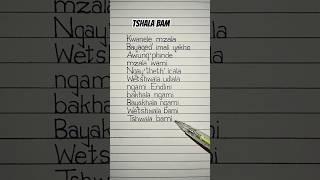 titom tshwala bam lyrics #tshwalabam #titom #lyrics