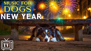 [LIVE] Dog TV: Anti-Anxiety Music to Relax Dogs from Loud Noises - Protecting Dogs on New Year’s Eve