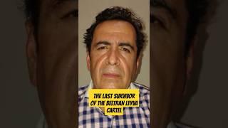 Dead or Alive? The Last Survivor Of The Beltran Leyva Cartel  #crime #facts #factshorts #mexico