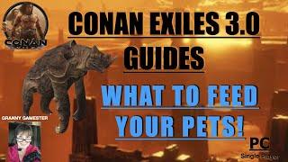 What to feed pets! Conan Exiles 3.0 Guide