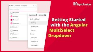 Getting Started with the Angular MultiSelect Dropdown