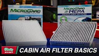 When to Replace  Cabin Air Filters + Why You Should