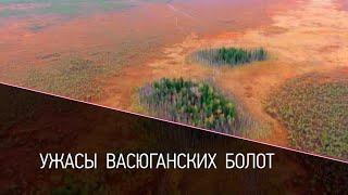 Ужасы Васюганских болот