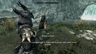 Skyrim: Guard Admires Dragonscale Armor