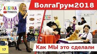 Как организовать конкурс Грумеров. #ВолгаГрум2018