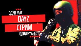 Стрим DayZ 1.26