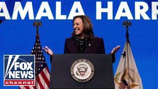 Democrat warns Kamala Harris is 'underwater' in key swing state