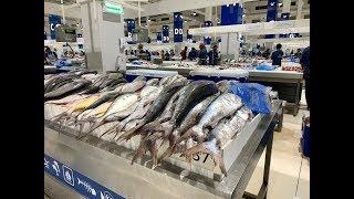 New Dubai Fish Market | Deira Waterfront Fish Market UAE | Massive & Clean Market