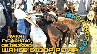 Мол бозор Регар / Шанбе бозор Нархои гусфандхо 06.06.2020