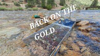 GOLD MINING! BACK ON THE GOLD! #goldmining #goldprospecting