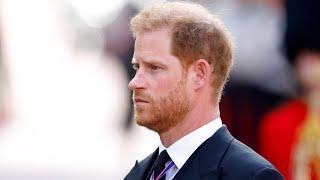 Prince Harry ‘should’ have had his US visa 'denied or revoked'