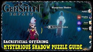 Genshin Impact Mysterious Shadow Puzzle Solution for Sacrificial Offering Quest