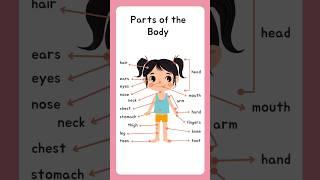 Kids vocabulary - Body - parts of the body - Learn English for kids - English educational video