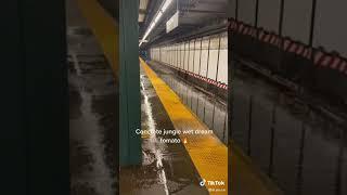 nyc subway during hurricane (@al.ex.i.a)