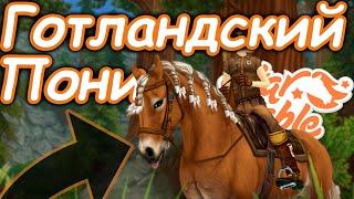 ПОКУПКА ГОТЛАНДСКИХ ПОНИ! | САМЫЙ МИЛЫЙ ПОНИ! | Star Stable