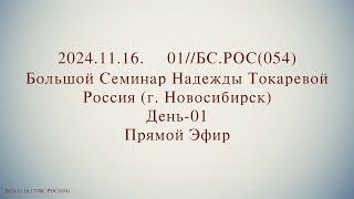 Надежда Токарева - БС_16.11.2024.Д-1 Новосибирск. Прямой Эфир