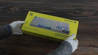 HATOR Rockfall 2 Mecha TKL Authentic Edition Keyboard Unboxing and LED Lighting Example