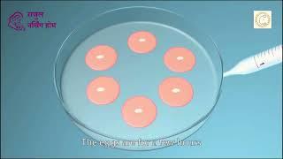 Rajul Endoscopy Hospital & IVF Centre | Expert Fertility & Gynecology Care