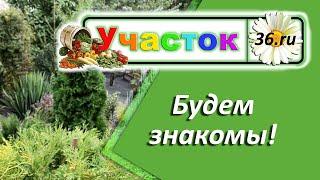 Давайте знакомиться!