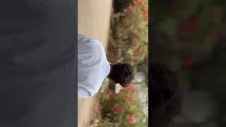 #swag #walkthrough #walk #bgm #viral #reels #reelitfeelit #trending #explore #explorepage #outfit