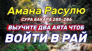 Бакара - Амана Расуль Бима!  изумительное чтение корана.  прекрасный коран