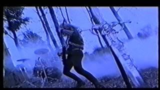 Forsth -  Wolfshowl In The Moonshinelight