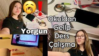 Okuldan Yorgun Geldiğim Gün Nasıl Motive Olunur ?? Ders Çalışma Rutini Tuana Zeybek