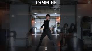 #camelee #ofd #dance #choreography #shorts