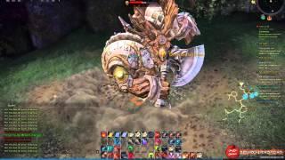 TERA (2015) Lancer Vs Lanok (World Boss) [Full HD][1080p] (Location.2)