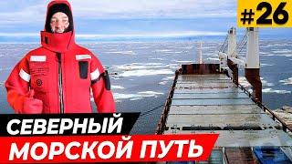 Северный морской путь \ Круиз по Северному ледовитому океану \ До свидания Чукотка  #26