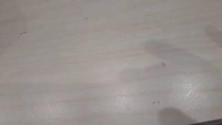 Новое начало . Знакомство