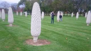 Cornhenge Field of Corn, Dublin, Ohio