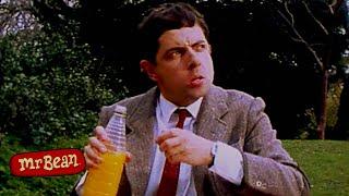 Mr Bean And His Picnic For One | Mr Bean Live Action | Funny Clips | Mr Bean
