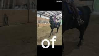Like just get a life and don’t bother me and my horses