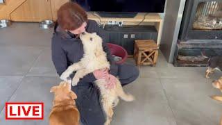 The new boy is so cute and so cuddly  - Takis Shelter