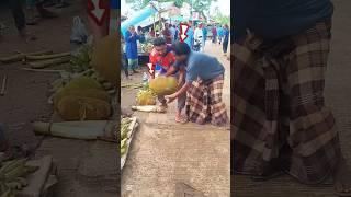  The elder stole the jackfruit. #india #United States #South Korea