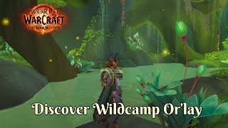 Exploring Wildcamp Or’lay: Hidden Gem of Azj-Kahet | WoW The War Within