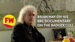 Brian May: ‘Badgers are irrelevant in spread of cattle TB’