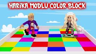 Patenle Kaydık Doğru Renkleri Bulduk | Roblox Süper Color Block