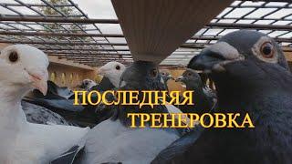 ПОСЛЕДНЯЯ ТРЕНИРОВКА МОЛОДЫХ