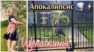 Нарядилась и пошла обрезать кусты/️Шторм и последствия/ Защитник территории/ Из Германии в Россию