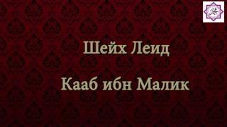 Шейх Леид - Кааб ибн Малик