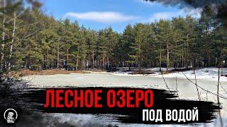 Лесное озеро //ПОДВОДНЫЕ СЪЁМКИ // зимняя рыбалка 2023