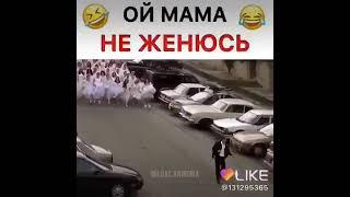 Оча ман зан намегирам