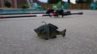 Savage Bluegill Swimbait REVIEW *Underwater*