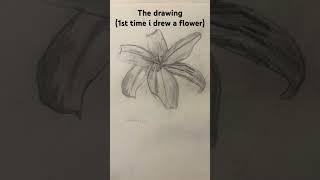 Drawing pictures i took pt.2 #drawing #photography