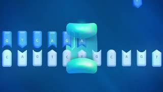Sequencing by binding (SBB) – breakthrough next generation sequencing chemistry