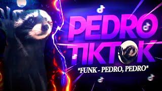 BEAT PEDRO TIKTOK - Meme - Guaxinim Dançando (FUNK REMIX) by Canal Sr. Nescau