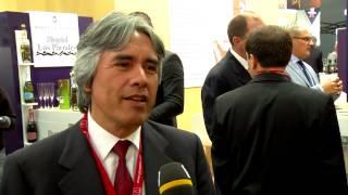 ProWein 2015: Wines of Bolivia is introduced to the world