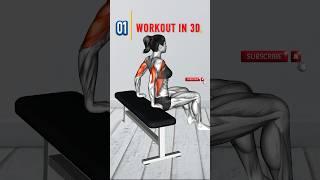 Shape Up With 3d Workouts For A Lean And Toned Body || Fitonus